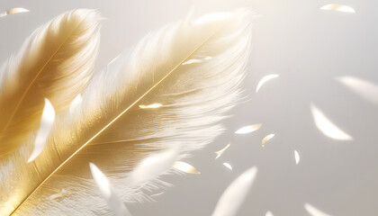 Beautiful gold and white feather background