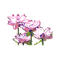 Obraz na płótnie Canvas Color sketch of a lotus flower with transparent background