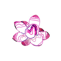 Color sketch of a lotus flower with transparent background