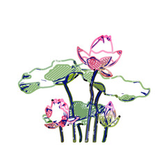 Color sketch of a lotus flower with transparent background