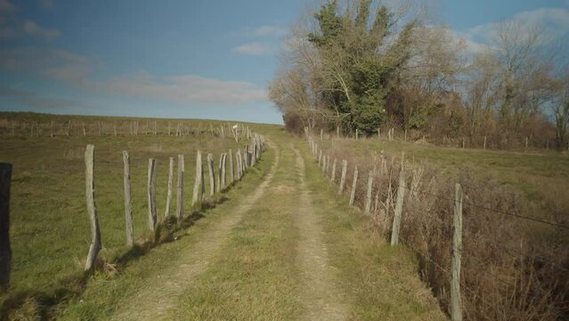 Campaign Path