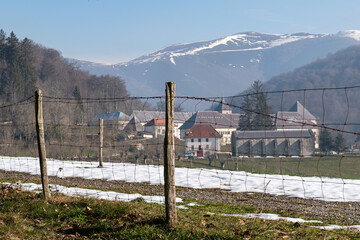 Roncesvalles behind the fence for cattle. Way of St. James.