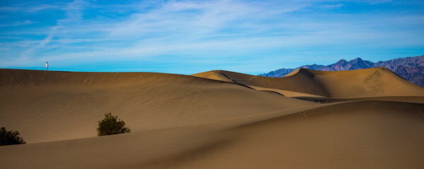 Beautiful girl in white dress walk on large, vast and stunning Mesquite Flat Sand Dunes in Death...