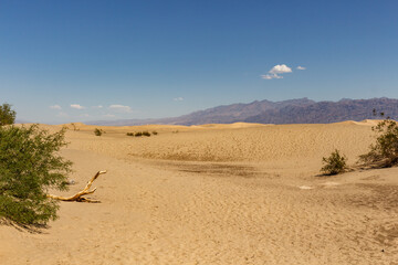 The Mesquite Flat Sand Dunes, mountains, and blue sky in Death Valley National Park, California,...