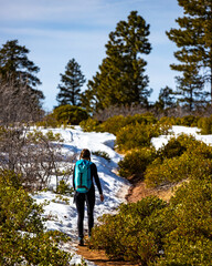 Fototapeta na wymiar backpacker girl hiking through zion national park in utah; hiking in the usa during spring