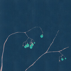 Ilustracja gałązka niebieskie jagody na granatowym  tle	
 - obrazy, fototapety, plakaty