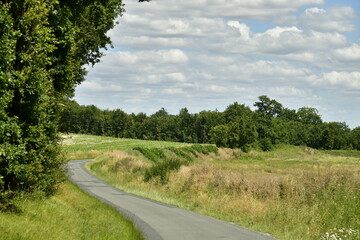 L'une des rues typiques du centre historique de Bruxelles