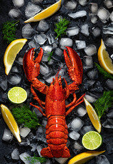 Whole red lobster with ice and lime. Dark background. Top view.