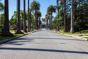 Los Angeles, California, USA, June 21, 2022: Palm trees street in Beverly Hills, Los Angeles. - Powered by Adobe