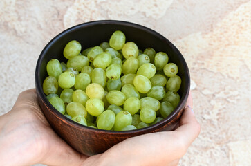 Close-up of green grapes in a ceramic bowl. fresh grape harvest.The girl's hands are holding a bowl with grapes.