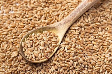 Flatlay of wooden spoon in berries.