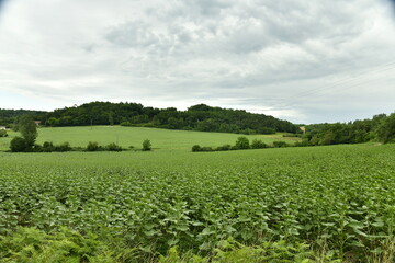 Fototapeta na wymiar Ciel d'orage sur les paysages ruraux près du bourg de Champagne au Périgord Vert 