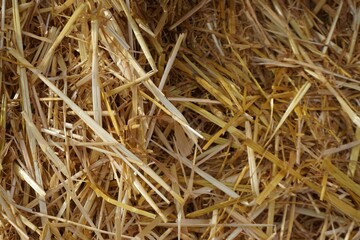 Goldgelbes Stroh als Hintergrund