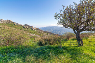 Acrocorinth, the acropolis of ancient Corinth, Greece.