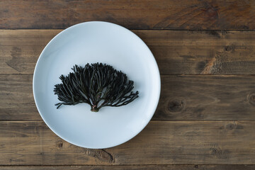 Codium fragile. Green algae in a ceramic dish on a wooden background. © castellanos80