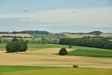 Fototapeta na wymiar Paysage rural de champs parsemés d'arbres isolés et de bois aux environs du bourg de Champagne au Périgord Vert 