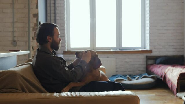 A man has taken a dog home from an animal shelter and is stroking it while sitting on the couch. A happy millennial man with his new dog, which he took from the shelter. High quality 4k footage