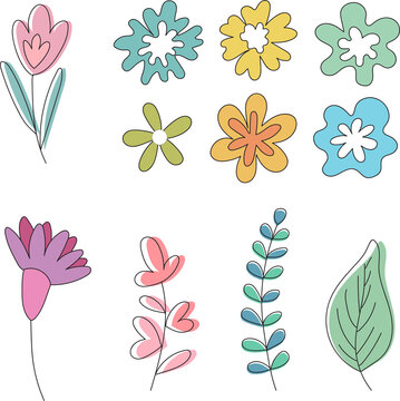Abstract tropical flower sets, botanical illustration, decorative arrangement, scroll leaves, clip art element isolated on Transparent  background