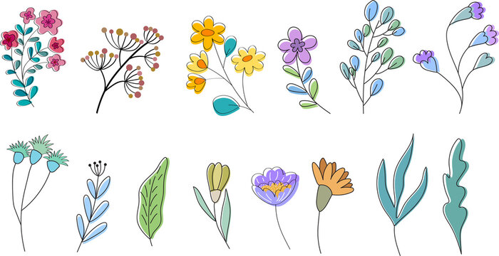 Abstract tropical flower sets, botanical illustration, decorative arrangement, scroll leaves, clip art element isolated on Transparent  background