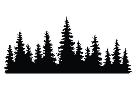 Fir trees silhouettes. Coniferous spruce horizontal background patterns, black evergreen woods vector illustration. Beautiful hand drawn panorama with treetops forest. Black pine woods