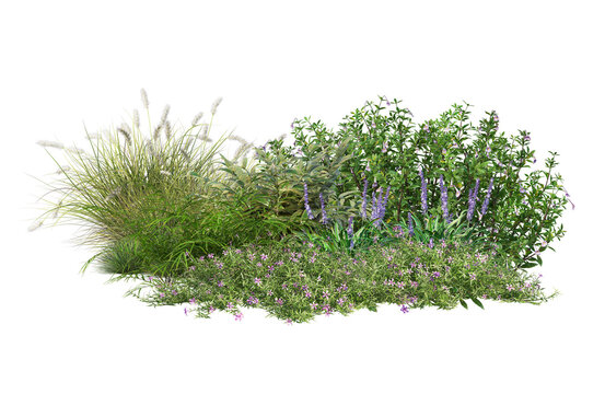A small garden decorated with many plants on a transparent background.