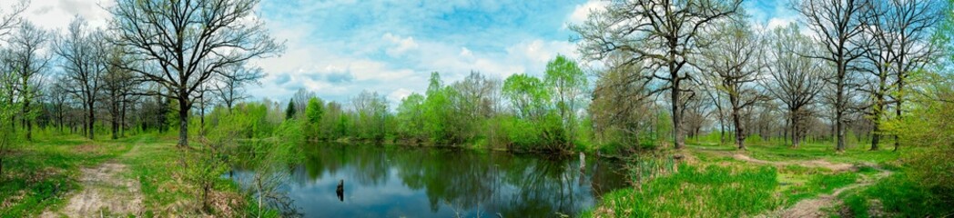 Obraz na płótnie Canvas Panorama of forest lakes in spring, young leaves and freshly blossomed buds of trees and shrubs