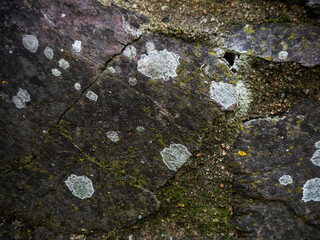 imagen detalle textura pared de piedra gris con grietas y restos de musgo seco 