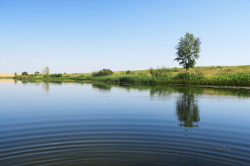 Reflection of the sky with clouds on the shore of a large lake on a sunny summer day.