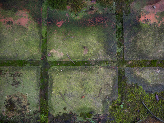 imagen detalle suelo de baldosas con moho verde por la humedad