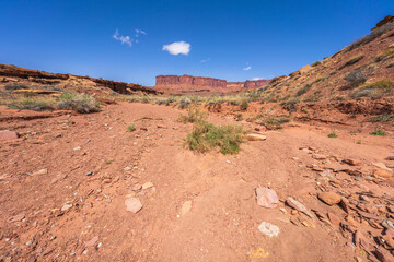 hiking the murphy trail loop in the island in the sky in canyonlands national park, usa