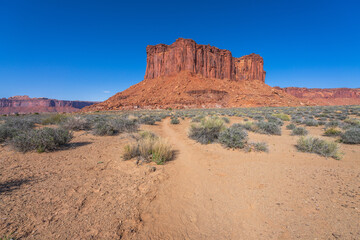 hiking the murphy trail loop in the island in the sky in canyonlands national park, usa