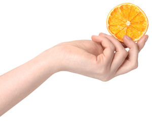 isolated hand holding dried slice of orange