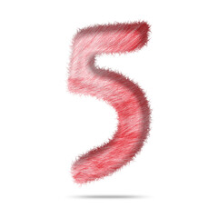 Number 5 design with realistic pink fur texture