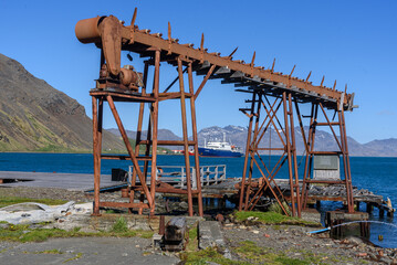 South Georgia Islands