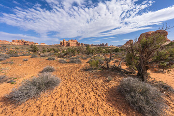 hiking the chesler park loop trail in the needles in canyonlands national park, usa