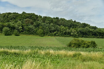 Obraz premium Prairie et colline boisée au bourg de Champagne au Périgord Vert 