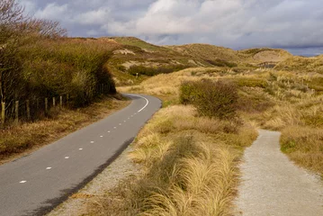 Poster de jardin Mer du Nord, Pays-Bas Bicycle and walking path on the dunes at the North Sea shore