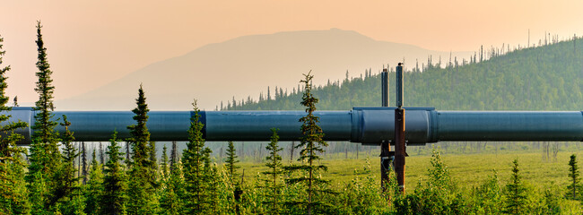 The Alaska Pipeline winds its way along the Taiga forests and permafrost just south of Prudhoe Bay in late evening light, fog and smoke caused by the many burning forest fires