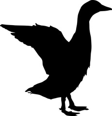 silhouette of a duck