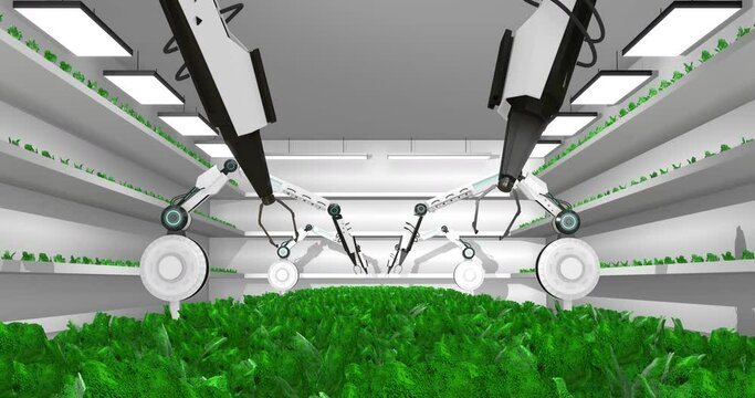 Advanced robotic arm picks vegetables. Futuristic agriculture. Space farming.