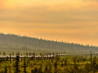 The Trans-Alaska Oil Pipeline travels along the Permafrost and Tundra on it's way south as seen near the North Slope on the approach to Prudhoe bay Alaska seen through the orange sky of nearby fires