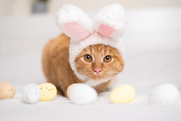 Cute ginger cat in a bunny suit plays with Easter eggs on a white bed. The concept of pets at...