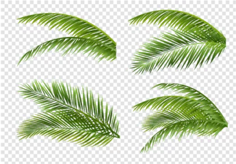 Fotobehang palm tree leaves © barbaliss