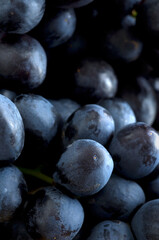 Macro Image of Dark Blue Grapes