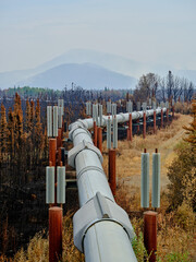 View looking north taken over the Alaska Pipeline showing the vanes onthe Alaska Pipeline support...
