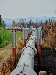 View looking north taken over the Alaska Pipeline showing the vanes onthe Alaska Pipeline support...