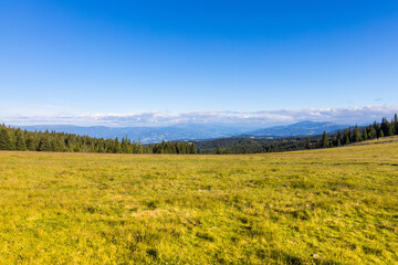 Beautiful landscape with green grass and blue sky for backgrounds or banner