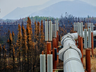 View looking north taken over the Alaska Pipeline showing the vanes onthe Alaska Pipeline support...