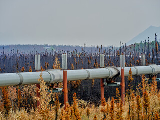 View looking north taken over the Alaska Pipeline showing the vanes onthe Alaska Pipeline support...