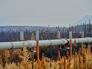 View looking north taken over the Alaska Pipeline showing the vanes onthe Alaska Pipeline support used to help dissipate the heat upward away from the permafrost with the recently burned trees
